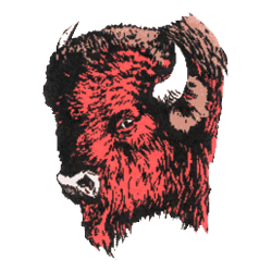 Team Mascot